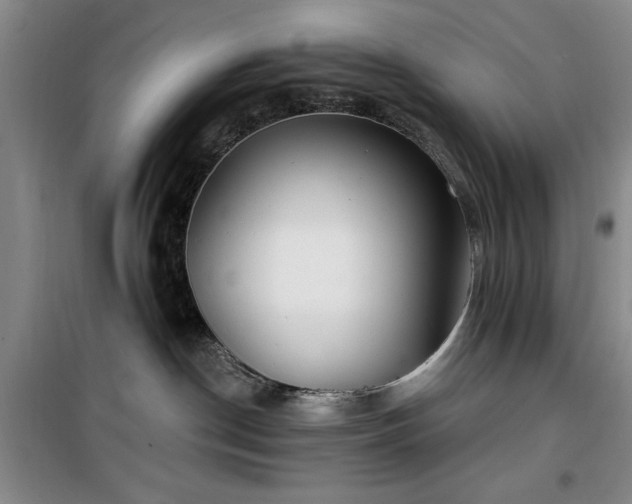 X0000100200190200805301318