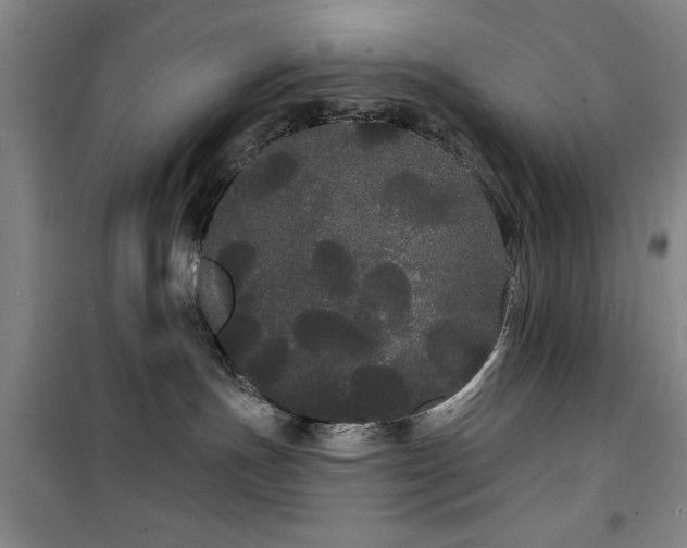 X0000100200191200805301318