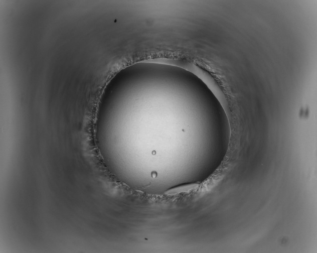 X0000100200192200805301318