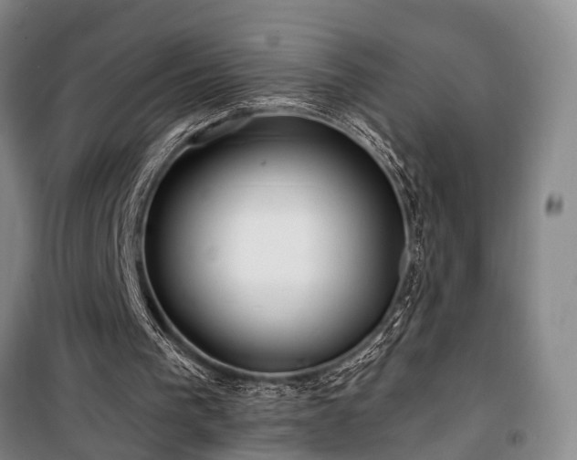 X0000100200193200805301317