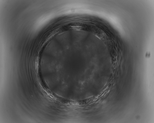 X0000100200194200805301317