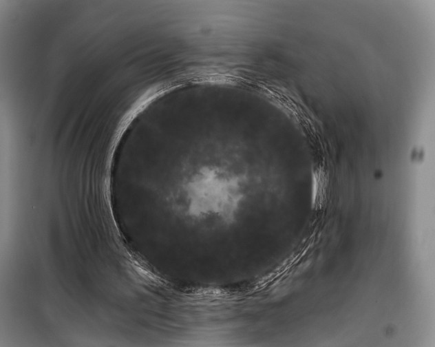 X0000100200195200805301317