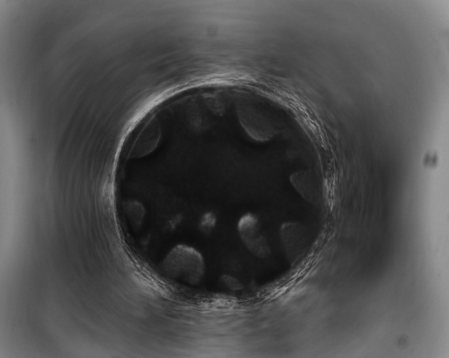 X0000100200196200805301317