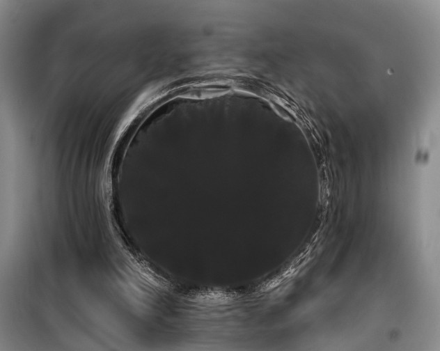 X0000100200198200805301317