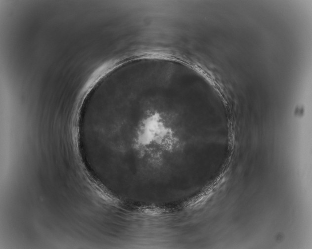 X0000100200199200805301317