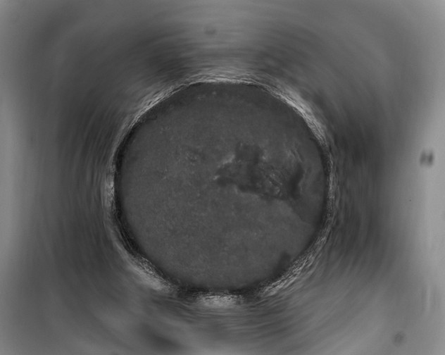 X0000100200202200805301317