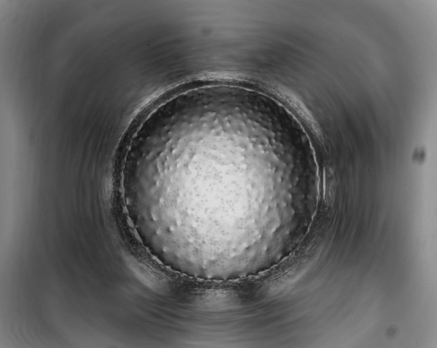 X0000100200204200805301317