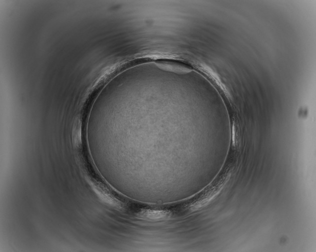 X0000100200205200805301317