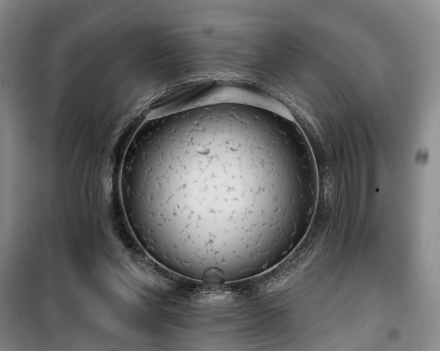 X0000100200206200805301317