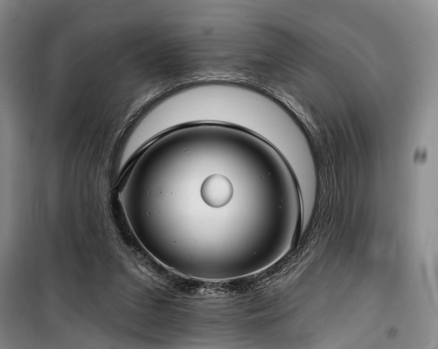 X0000100200207200805301317