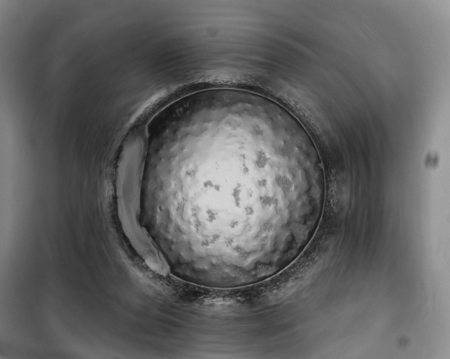 X0000100200208200805301317