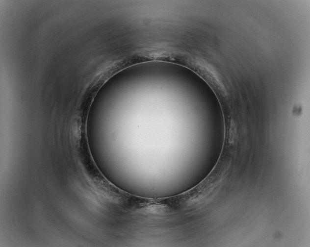 X0000100200210200805301317