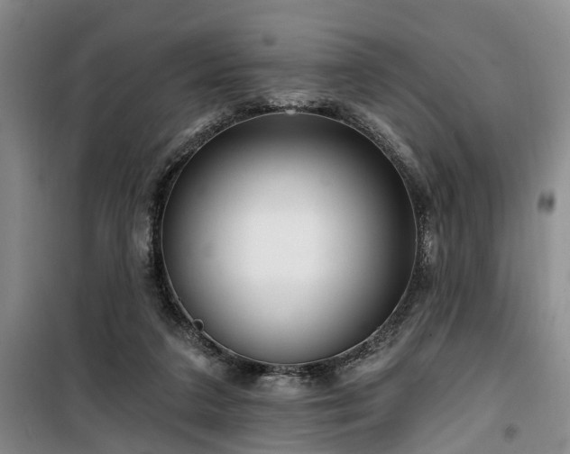 X0000100200211200805301317