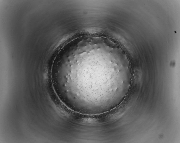 X0000100200212200805301317