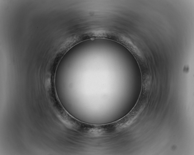 X0000100200213200805301317