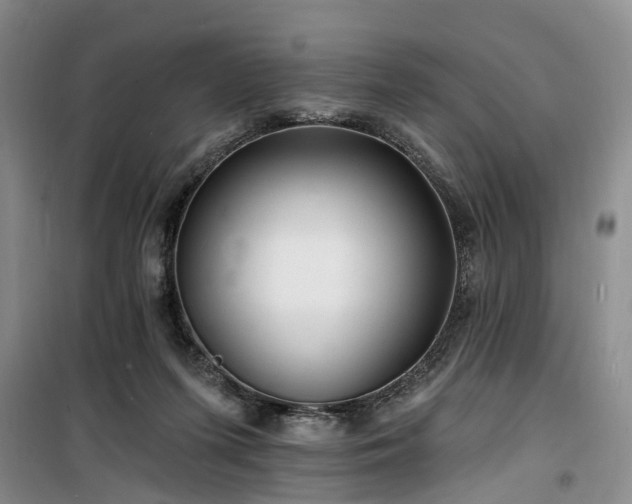 X0000100200215200805301317