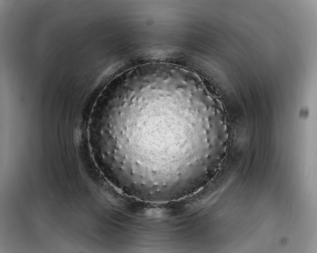 X0000100200216200805301317