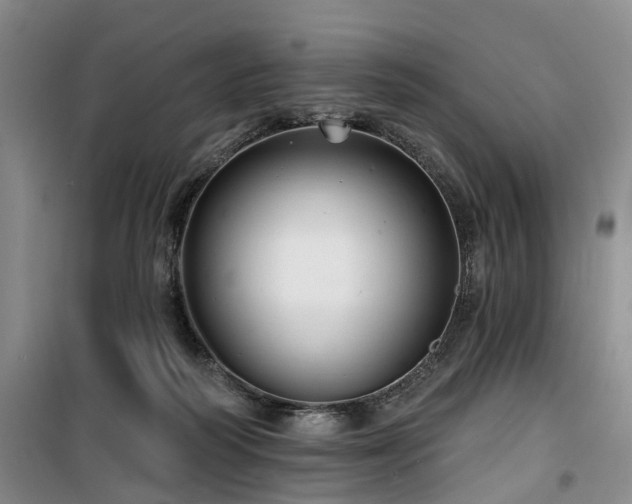 X0000100200218200805301317