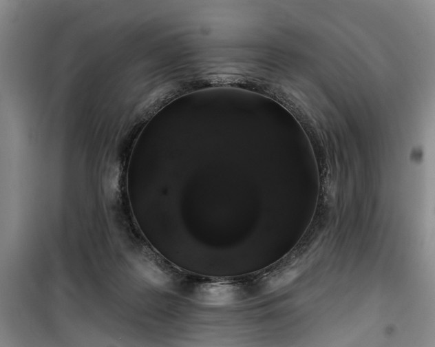 X0000100200219200805301317