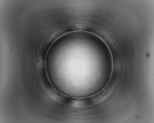 X0000100200220200805301317