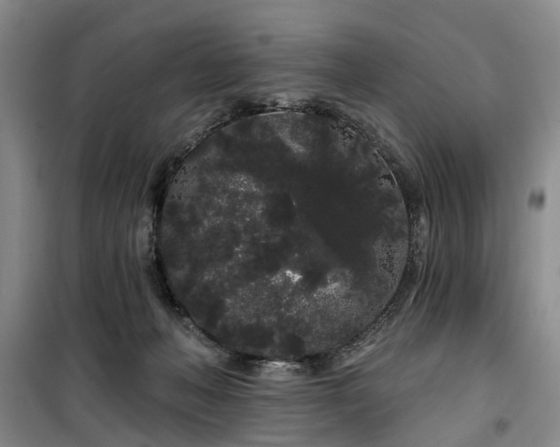 X0000100200222200805301317