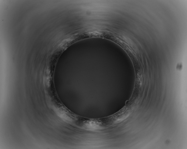 X0000100200223200805301317