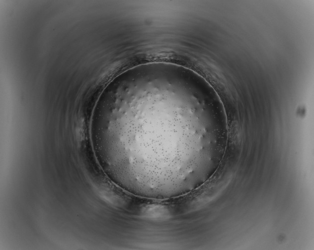 X0000100200224200805301317