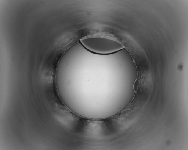 X0000100200226200805301317