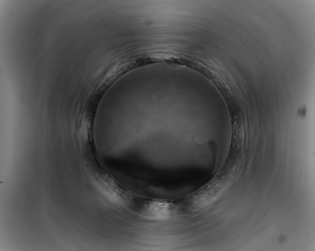 X0000100200227200805301317