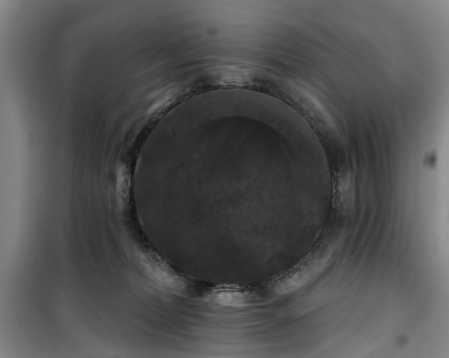 X0000100200228200805301317