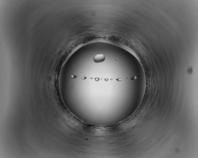 X0000100200229200805301317