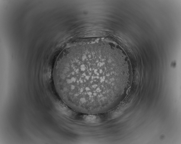 X0000100200230200805301317