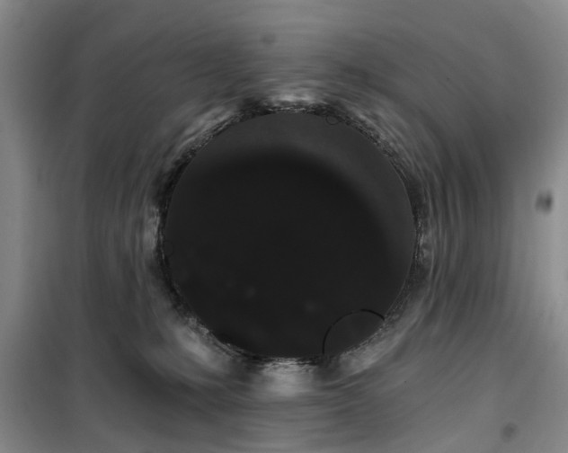 X0000100200231200805301317