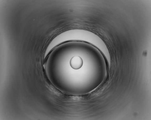 X0000100200233200805301317