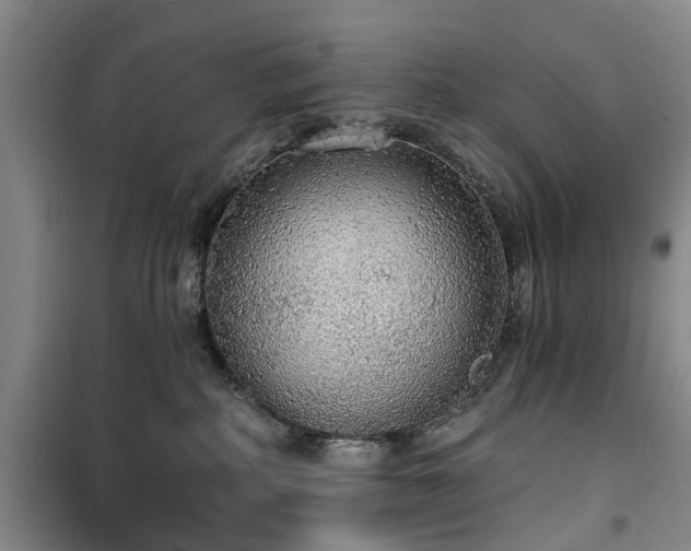 X0000100200234200805301317