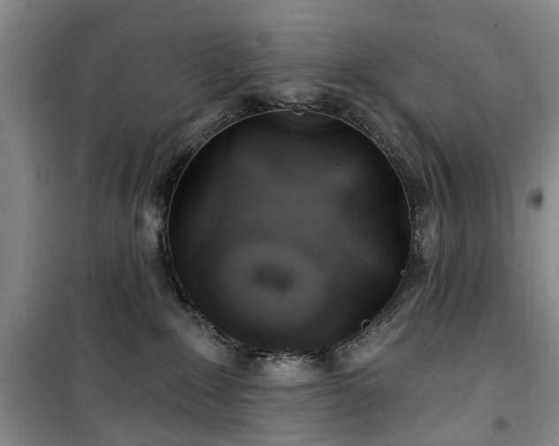 X0000100200235200805301317