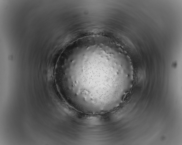 X0000100200236200805301317