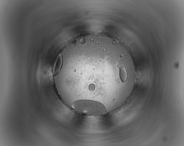 X0000100200238200805301317