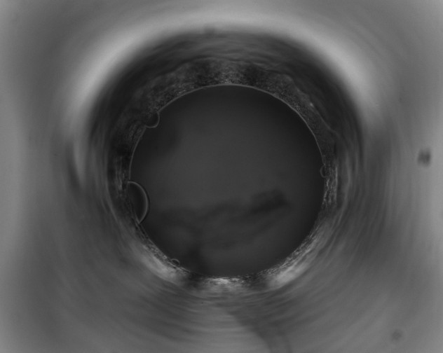 X0000100200239200805301317