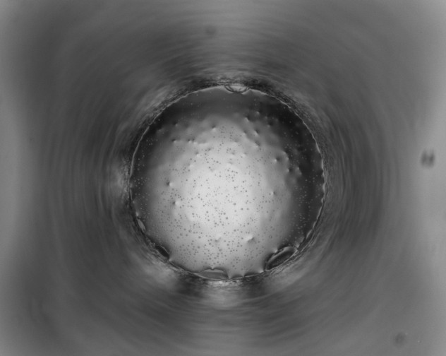 X0000100200240200805301317