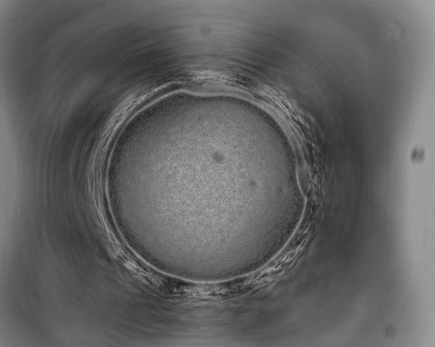 X0000100200241200805301316