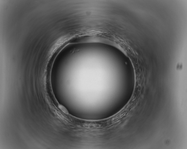 X0000100200242200805301316