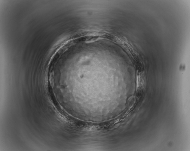 X0000100200243200805301316