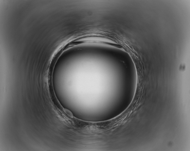 X0000100200244200805301316