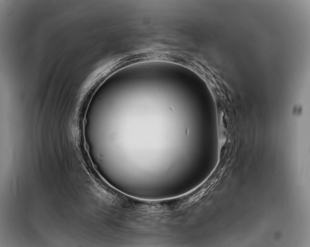 X0000100200245200805301316