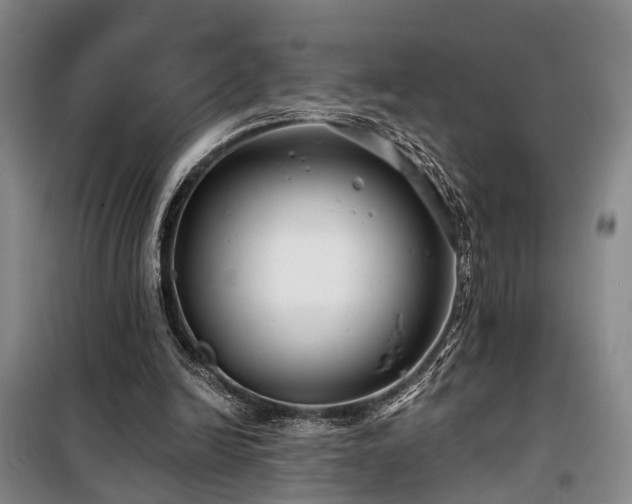 X0000100200246200805301316