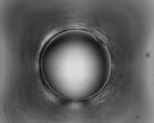 X0000100200248200805301316