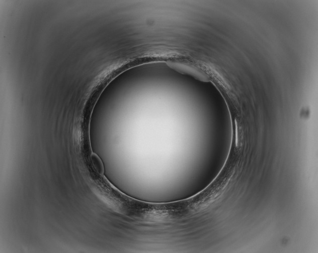 X0000100200252200805301316