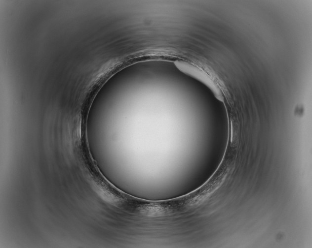 X0000100200253200805301316