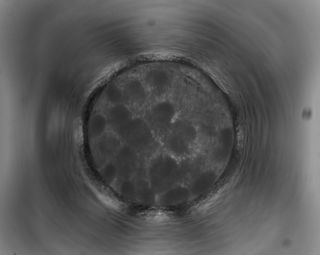 X0000100200254200805301316